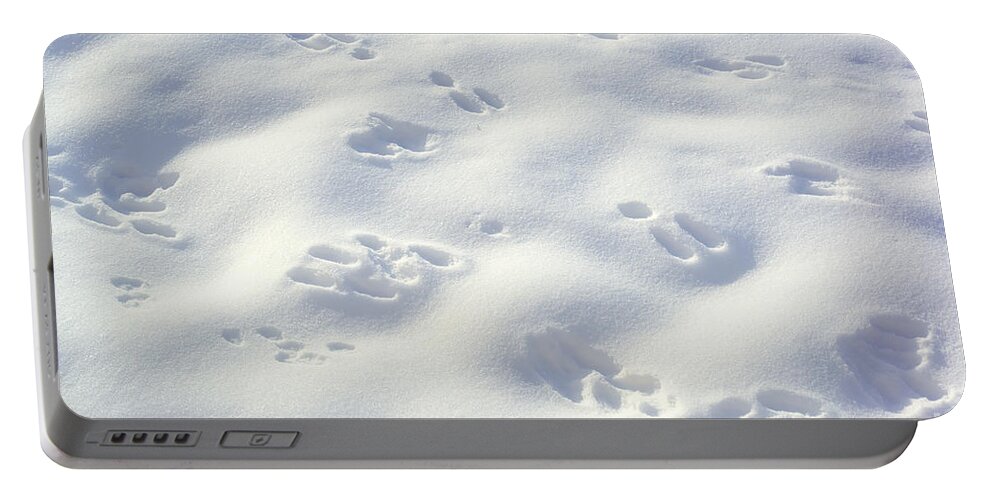 Snow Portable Battery Charger featuring the photograph Tracks and Shadows by Kae Cheatham
