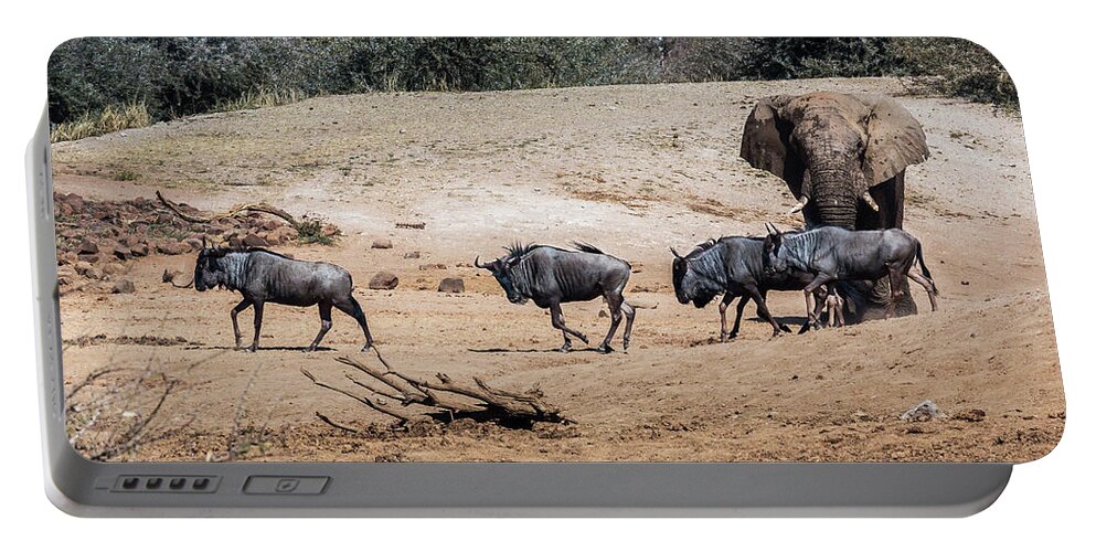  Portable Battery Charger featuring the photograph Trafic at the waterhole by Claudio Maioli