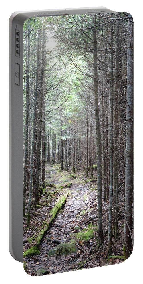 Maine Portable Battery Charger featuring the photograph Trail in Northern Maine Woods by Russ Considine