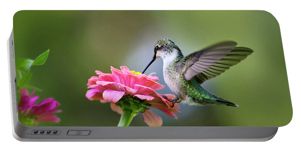 Hummingbird Portable Battery Charger featuring the photograph Tranquil Joy by Christina Rollo