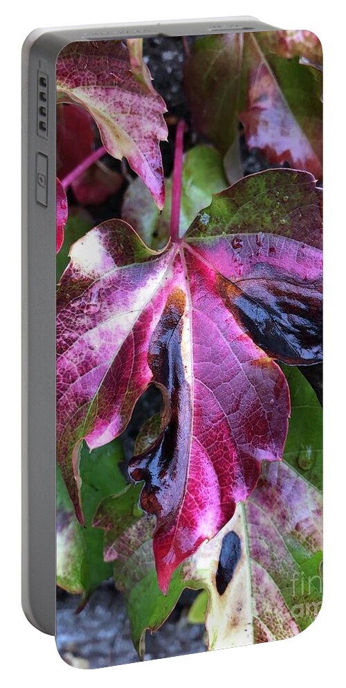 Leaf Portable Battery Charger featuring the photograph Transformation by Tina Marie