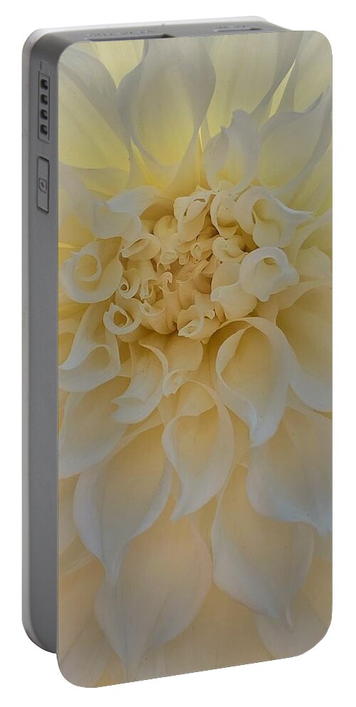 Translucent Portable Battery Charger featuring the photograph Translucence by Jerry Abbott
