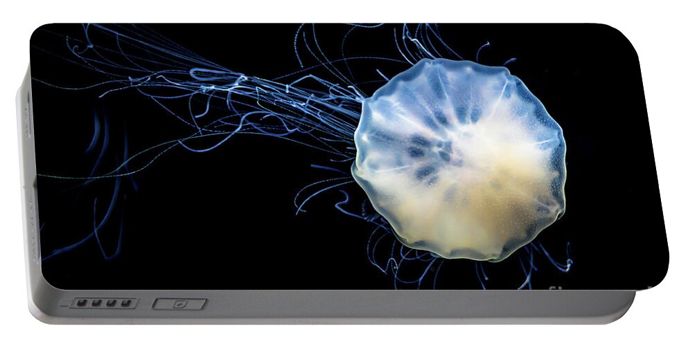 Poster Portable Battery Charger featuring the photograph Transparent Jellyfish With Long Poisonous Tentacles by Andreas Berthold