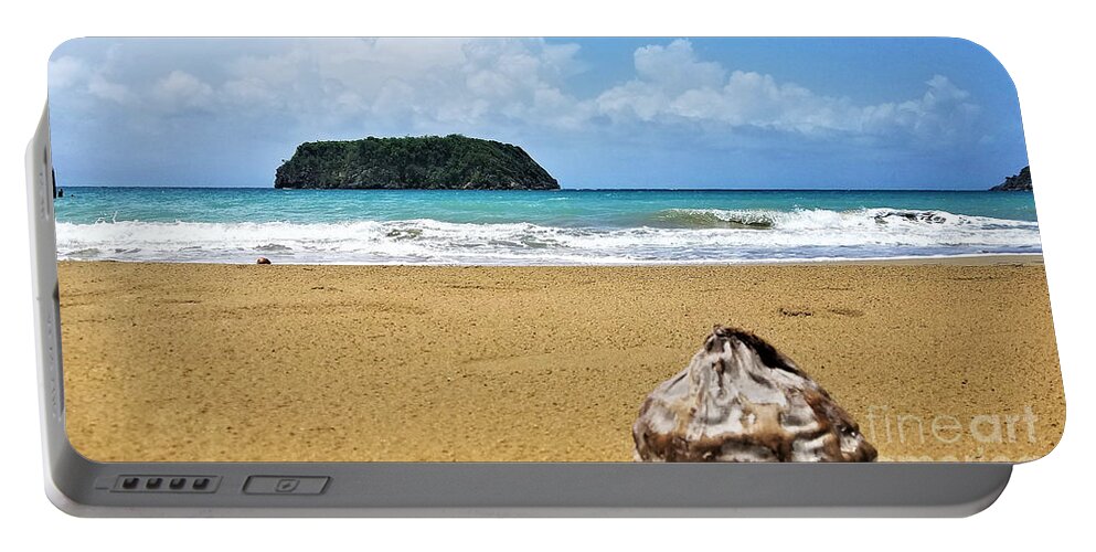 Traveling Coconut Portable Battery Charger featuring the photograph Traveling Coconut 1 by Aldane Wynter