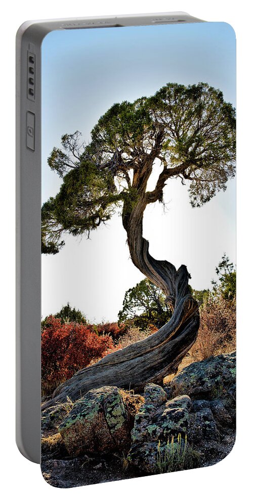Tree Portable Battery Charger featuring the photograph Tree At Black Canyon by Robert Woodward