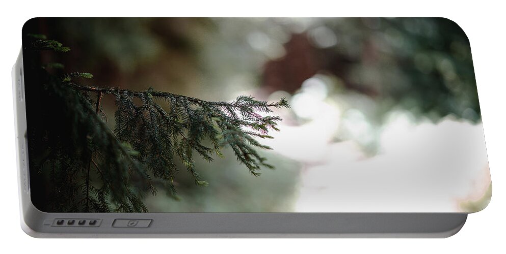 Photography Portable Battery Charger featuring the photograph Tree Branch Along the Path by Evan Foster