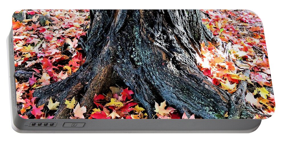 Tree Roots Portable Battery Charger featuring the photograph Tree Confetti in Autumn by Linda Stern