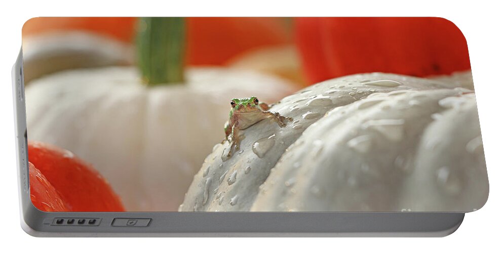Tree Frog Portable Battery Charger featuring the photograph Tree Frog 4616 by Jack Schultz