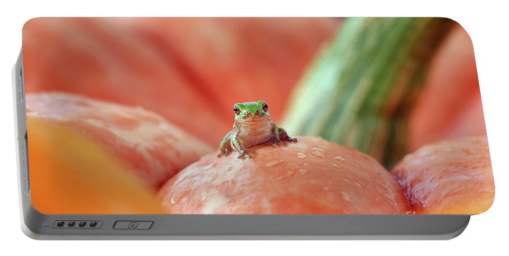 Tree Frog Portable Battery Charger featuring the photograph Tree Frog 4638 by Jack Schultz