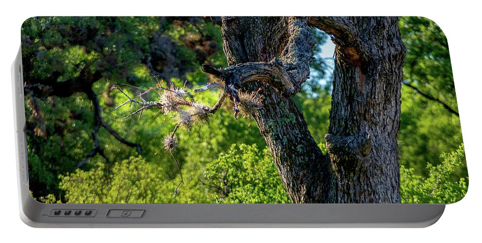 Tree Portable Battery Charger featuring the photograph Tree in the Texas Sun by Nathan Wasylewski