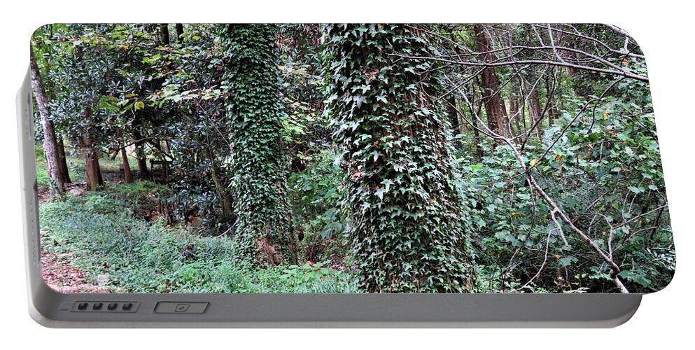 Trees Portable Battery Charger featuring the photograph Tree Ivey Deuce by Ed Williams