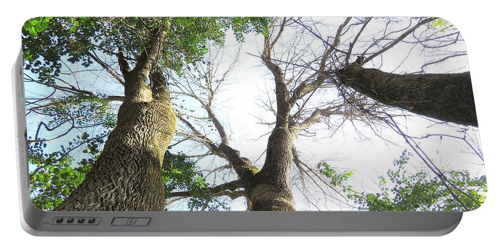 Tree Portable Battery Charger featuring the photograph Tree Sky Scrape by Ed Williams