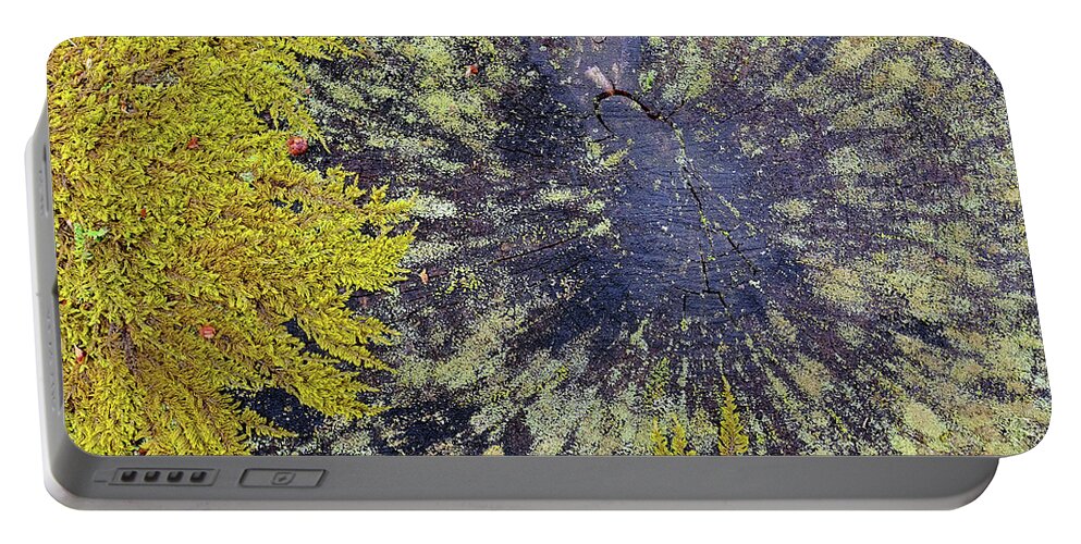 New Hampshire Portable Battery Charger featuring the photograph Tree Stump With Moss And Lichen by Jeff Sinon