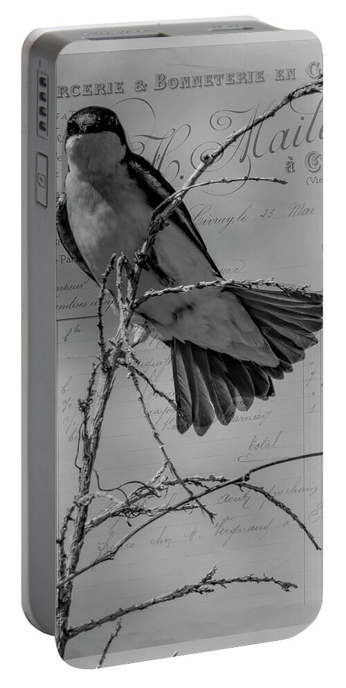 Bird Portable Battery Charger featuring the photograph Tree Swallow by Cathy Kovarik