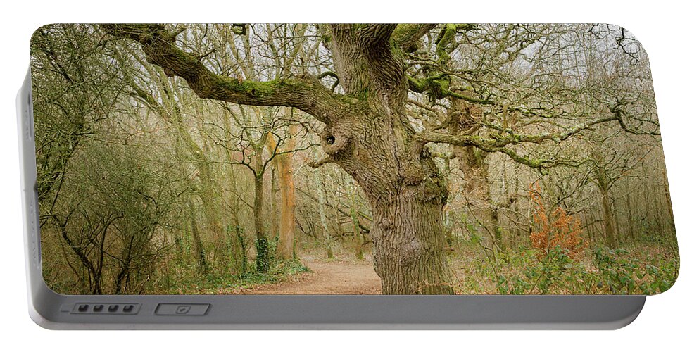 Tree Portable Battery Charger featuring the photograph Mysterious Woodland by Tanya C Smith