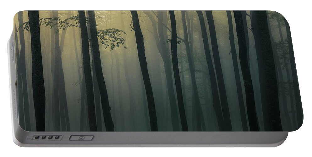 Balkan Mountains Portable Battery Charger featuring the photograph Trees In Dark Forest by Evgeni Dinev