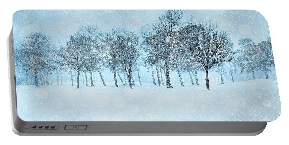 Winter Portable Battery Charger featuring the photograph Trees In Winter by Cathy Kovarik