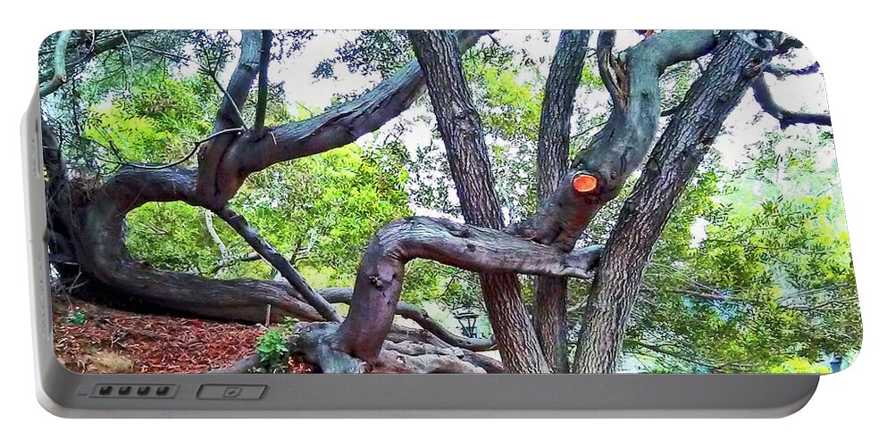 Trees Portable Battery Charger featuring the photograph Trees Interlocking by Andrew Lawrence