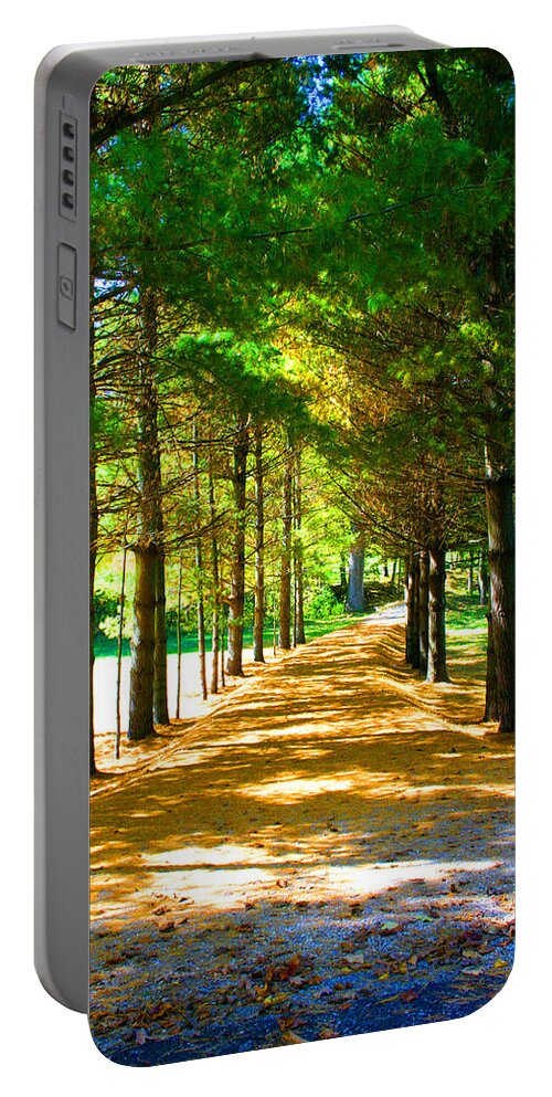 Landscape Portable Battery Charger featuring the photograph Trees Tunnel, Country Road by Patrick Malon