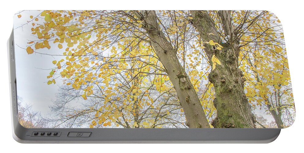 Trent Park Portable Battery Charger featuring the photograph Trent Park Trees Fall 15 by Edmund Peston