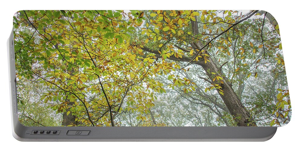 Trent Park Portable Battery Charger featuring the photograph Trent Park Trees Fall 9 by Edmund Peston