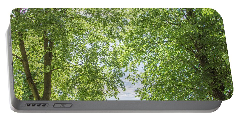 Trent Park Portable Battery Charger featuring the photograph Trent Park Trees Summer 2 by Edmund Peston