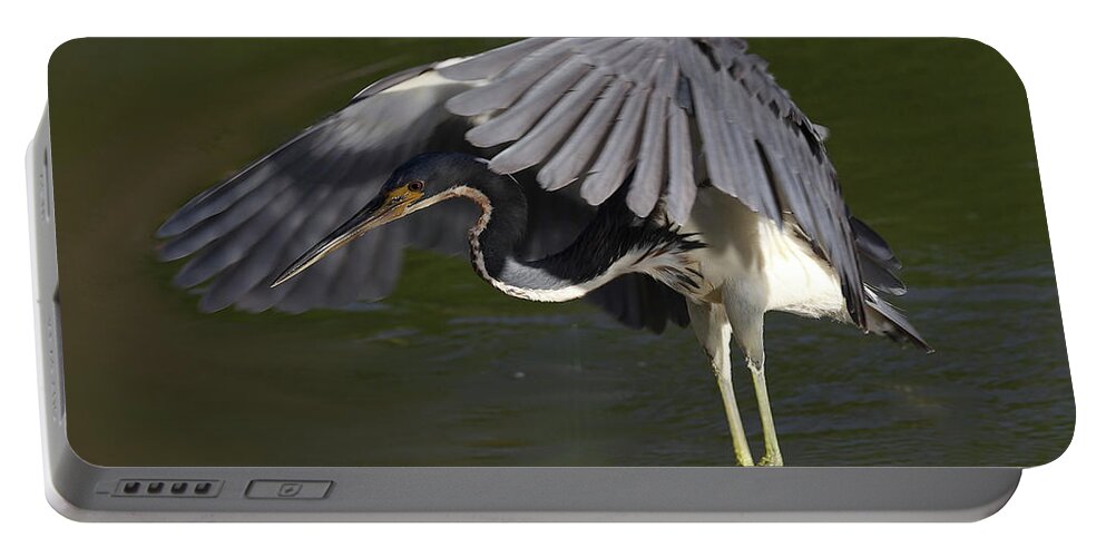 Tricolored Heron Portable Battery Charger featuring the photograph Tricolored Heron in Flight by Mingming Jiang
