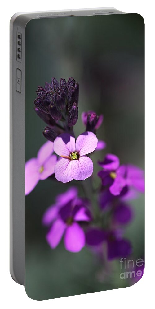 Joy Watson Portable Battery Charger featuring the photograph Triggerplant by Joy Watson