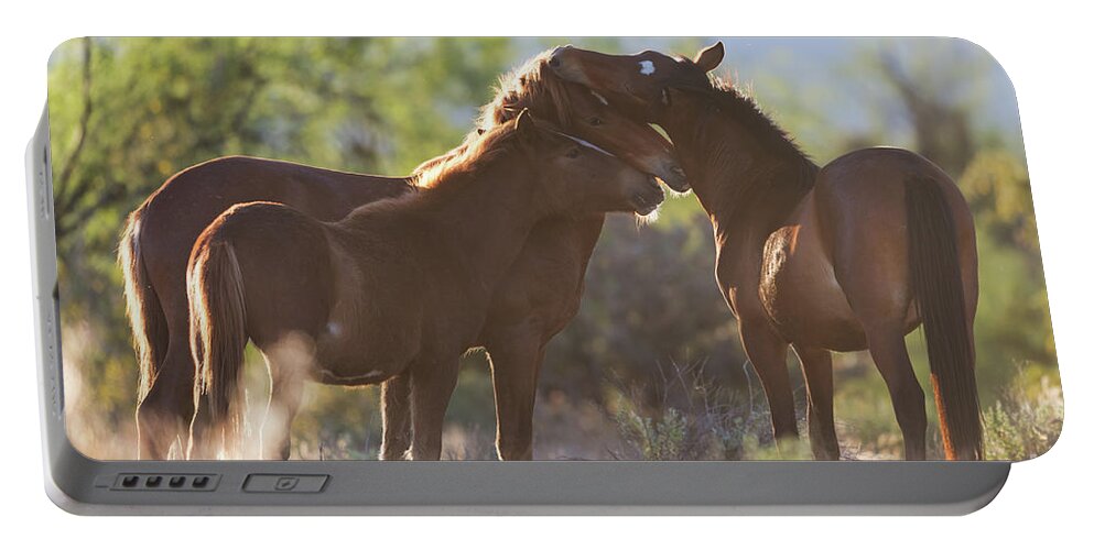 Yearling Portable Battery Charger featuring the photograph Triple Stack by Shannon Hastings