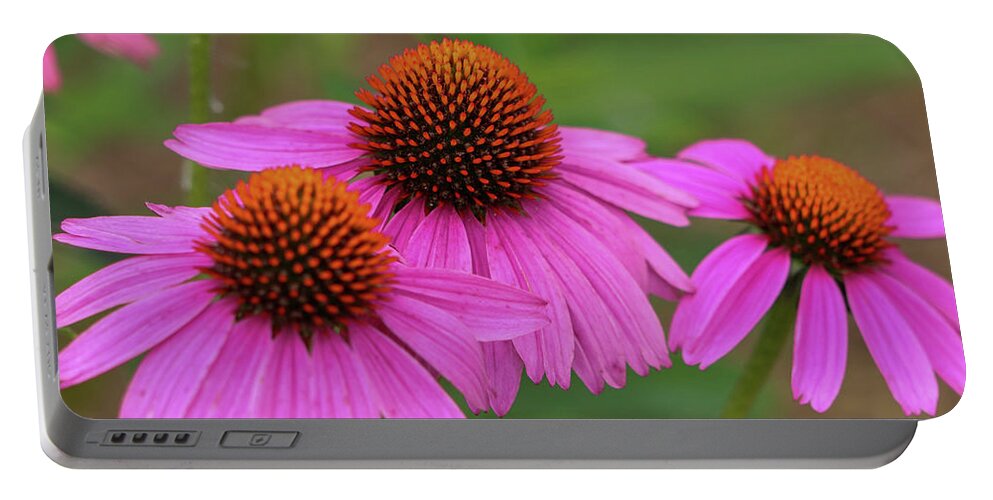 Coneflower Portable Battery Charger featuring the photograph Triple Threat by Mary Anne Delgado