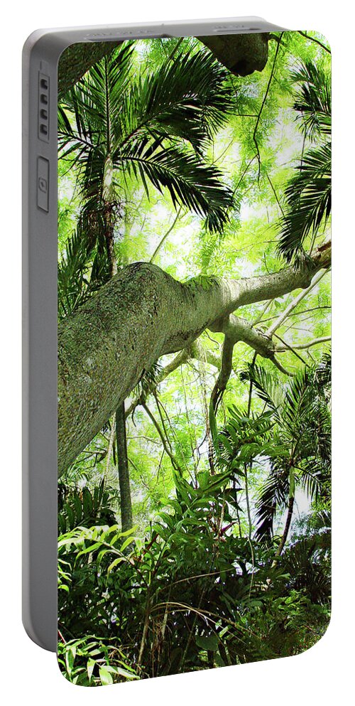 Color Portable Battery Charger featuring the photograph Tropical Forest by Alan Hausenflock