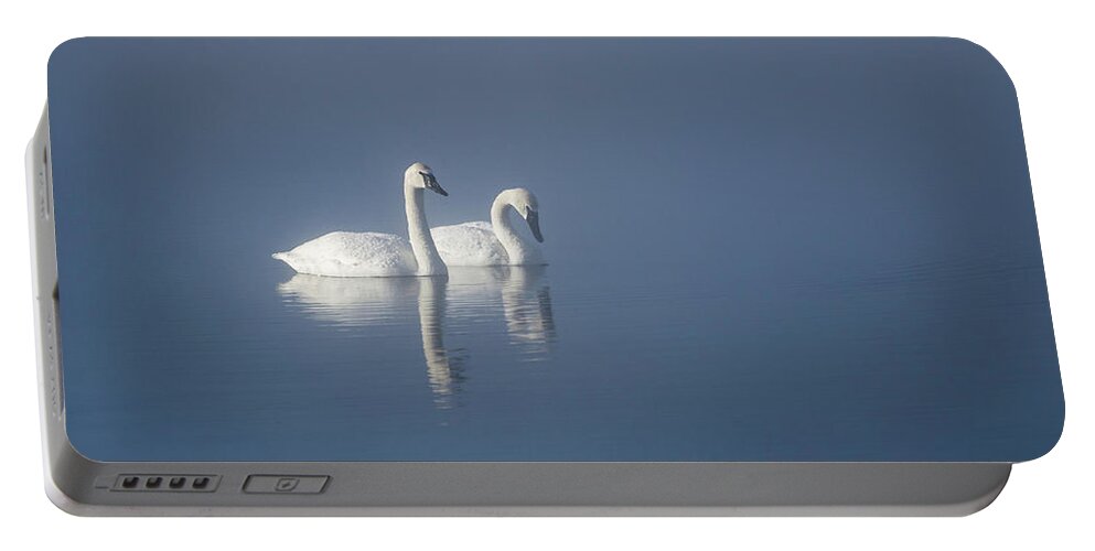 Swan Portable Battery Charger featuring the photograph Trumpeter Swans in the Mist by Linda Villers