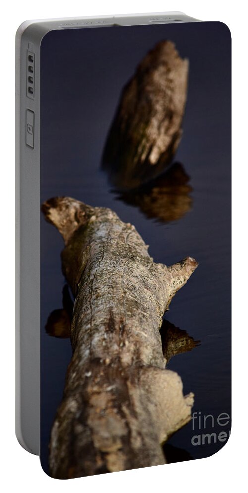 Trunk Portable Battery Charger featuring the photograph Trunkated Yearning by Debra Banks