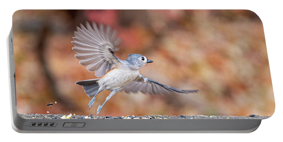  Little Gray Bird Portable Battery Charger featuring the photograph Tufted Titmouse in Flight by Ilene Hoffman