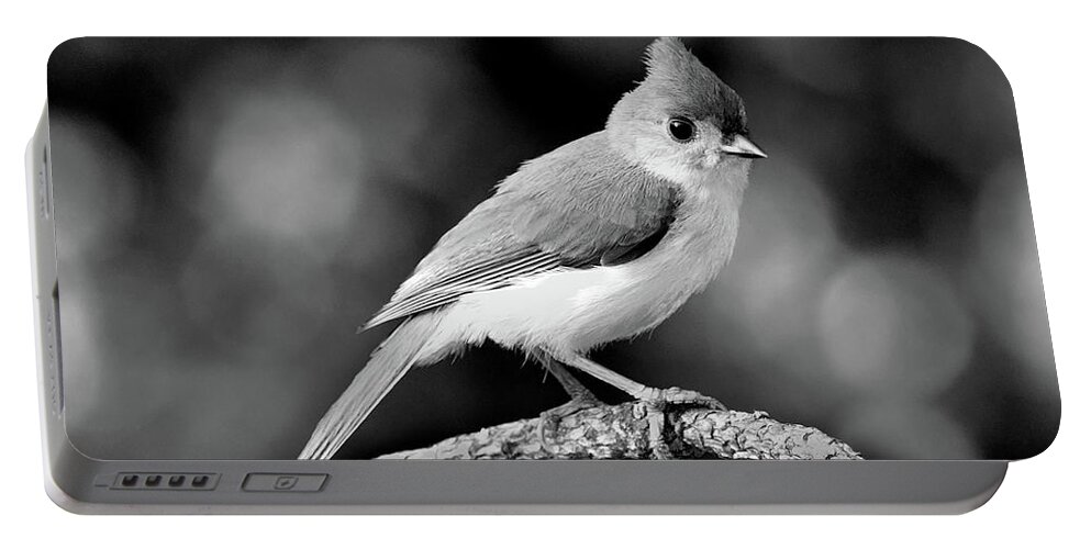 Tufted Titmouse Portable Battery Charger featuring the photograph Tufted Titmouse Pose Monochrome by Jerry Griffin