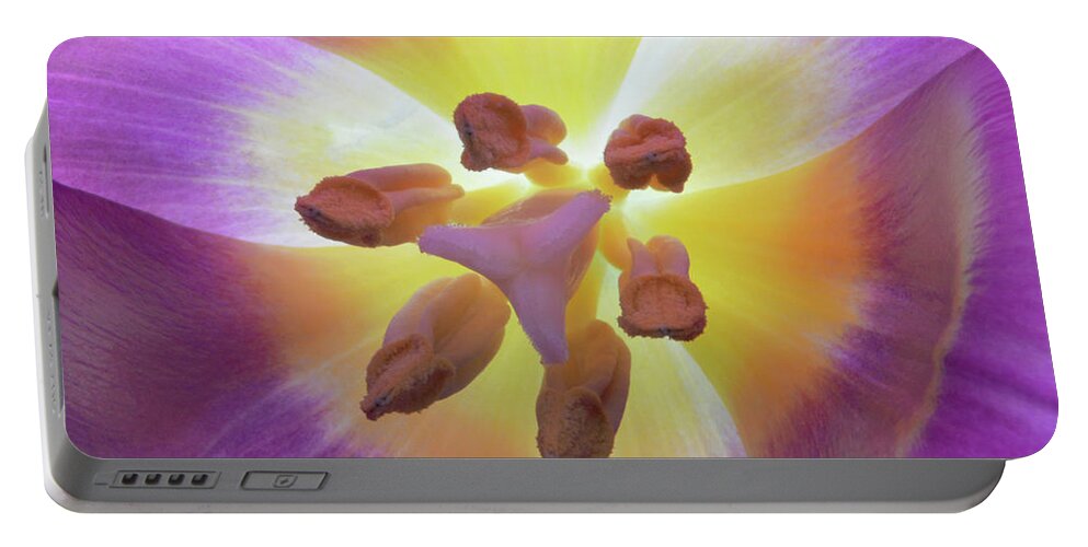 Tulip Portable Battery Charger featuring the photograph Tulip Inner Glow by Terence Davis