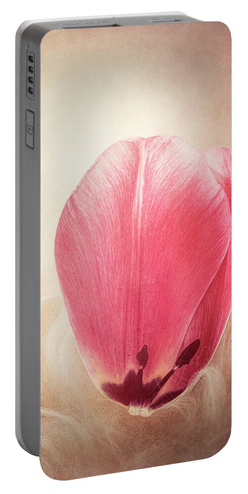 Petal Portable Battery Charger featuring the photograph Tulip Petal by Philippe Sainte-Laudy