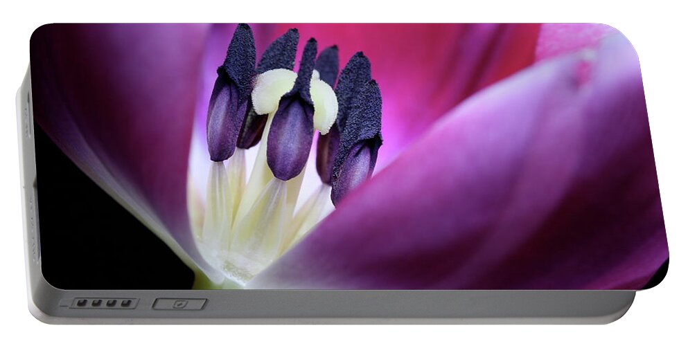 Macro Portable Battery Charger featuring the photograph Tulip Pink 3917 by Julie Powell