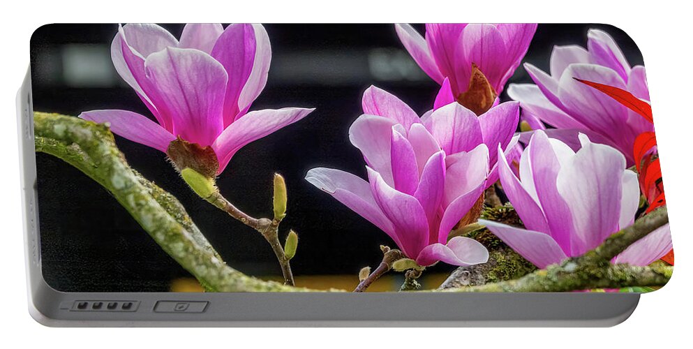 Carillon Point Portable Battery Charger featuring the photograph In Bloom by Larey McDaniel