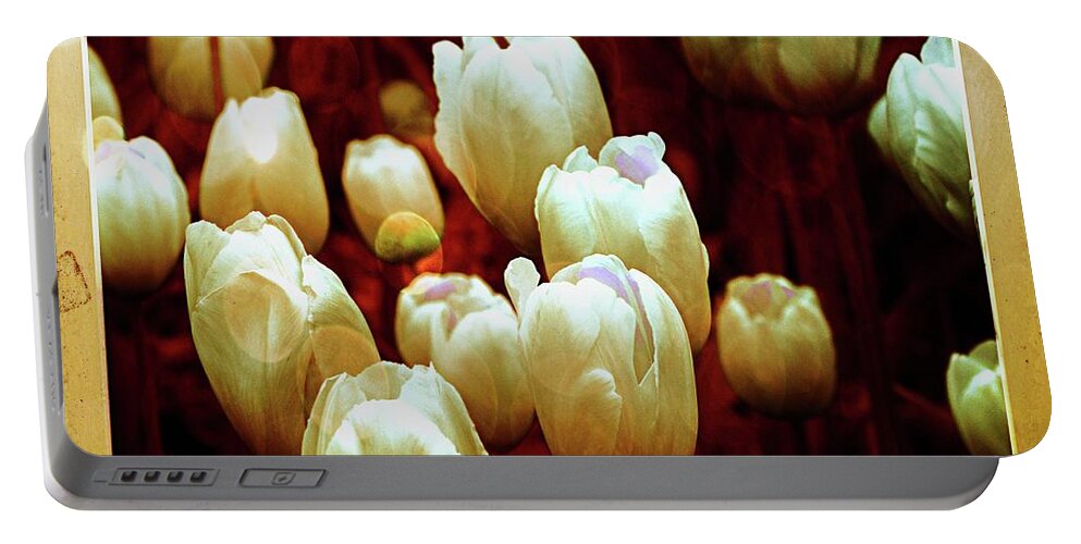 Tulips Portable Battery Charger featuring the photograph Tulips Garden Hibster by Michelle Liebenberg