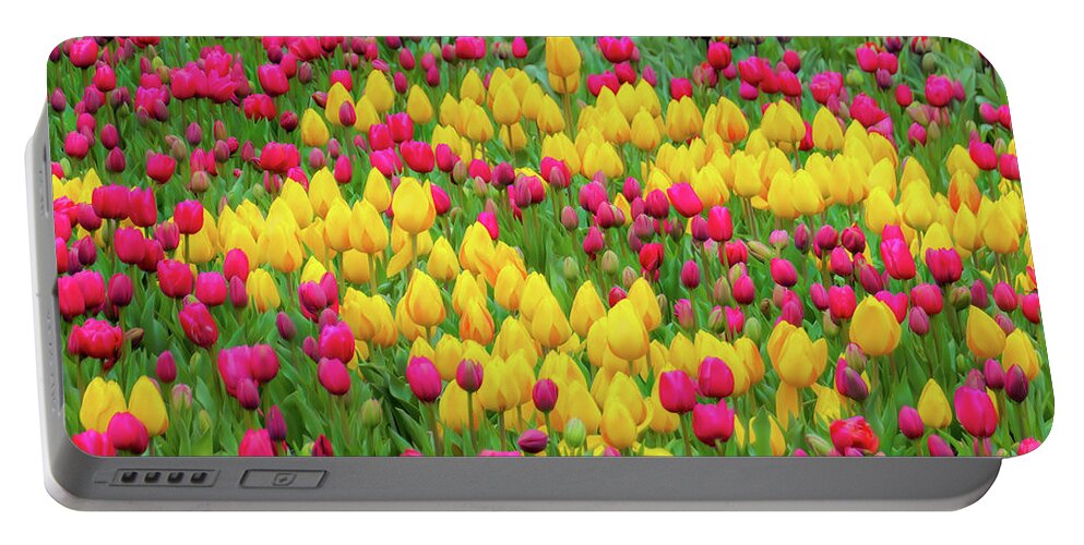 Curvilinear Portable Battery Charger featuring the photograph Tulips of Holland by Kathi Isserman