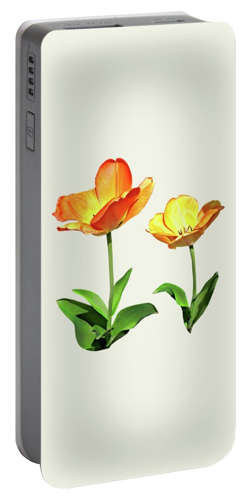 Tulip Portable Battery Charger featuring the photograph Tulips Tall and Short by Susan Savad