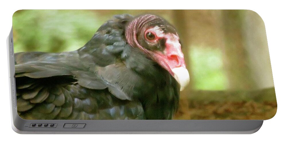 Bird Portable Battery Charger featuring the photograph Turkey Vulture by Azthet Photography