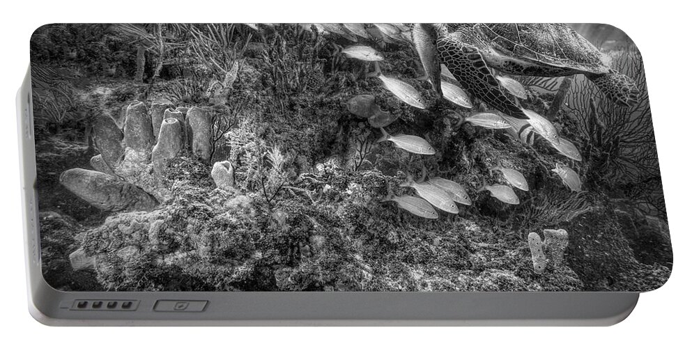 Cove Portable Battery Charger featuring the photograph Turtle on the Underwater Reef Black and White by Debra and Dave Vanderlaan
