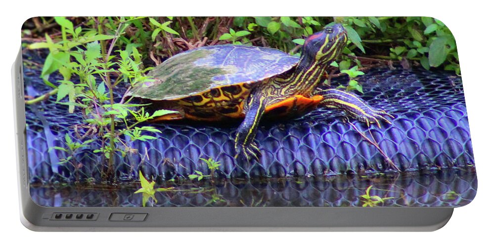 Turtle Portable Battery Charger featuring the photograph Turtle Reflection by Christopher Reed