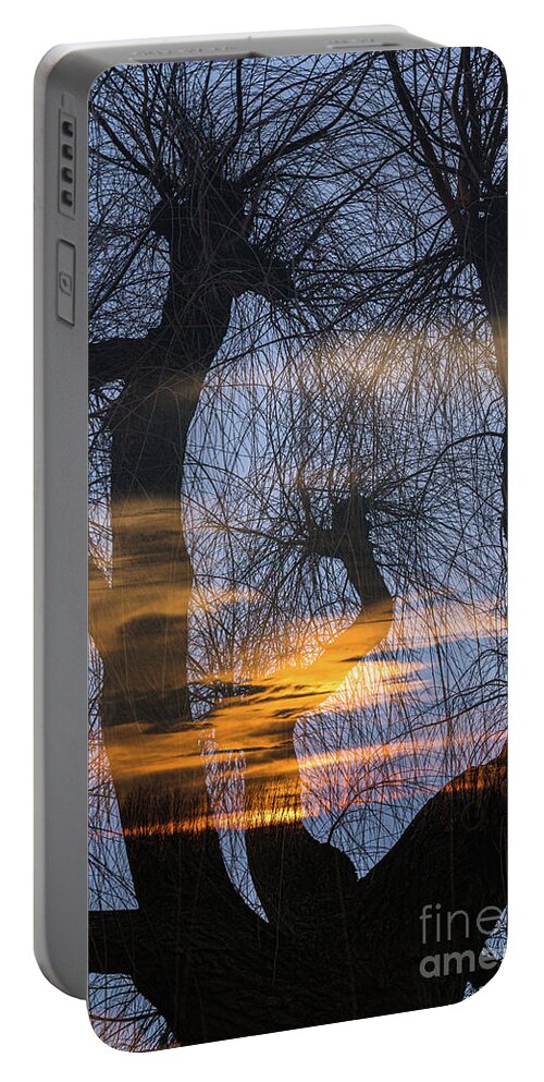 Netherlands Portable Battery Charger featuring the photograph Twilight zone in the magic forest by Casper Cammeraat
