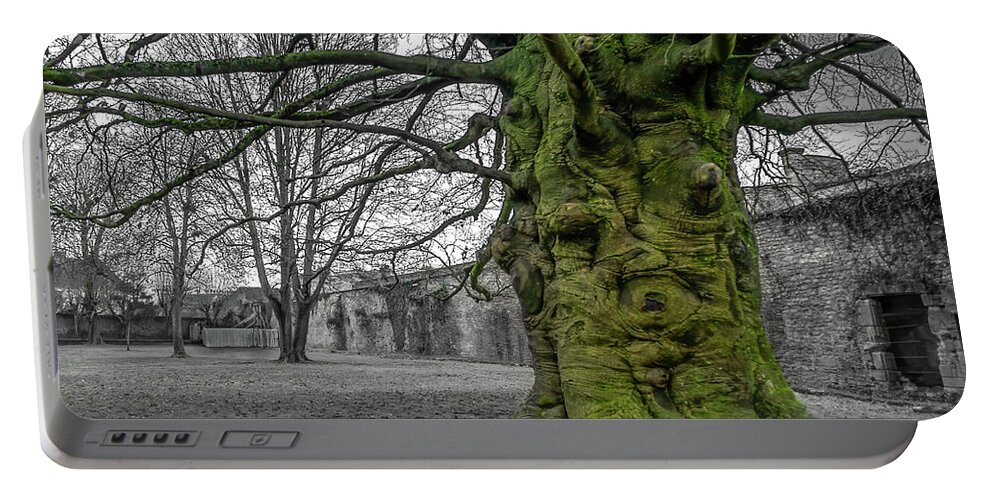 Abbey Portable Battery Charger featuring the photograph Twisted old beech trunk and green moss by Jean-Luc Farges