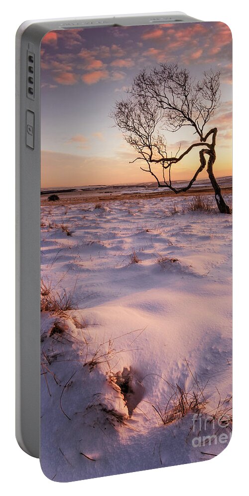 One Tree Portable Battery Charger featuring the photograph Twisted tree in the snow at sunset, Peak District National Park, Derbyshire, England by Neale And Judith Clark