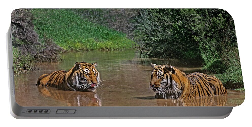Dave Welling Portable Battery Charger featuring the photograph Two Bengal Tigers Bathing by Dave Welling