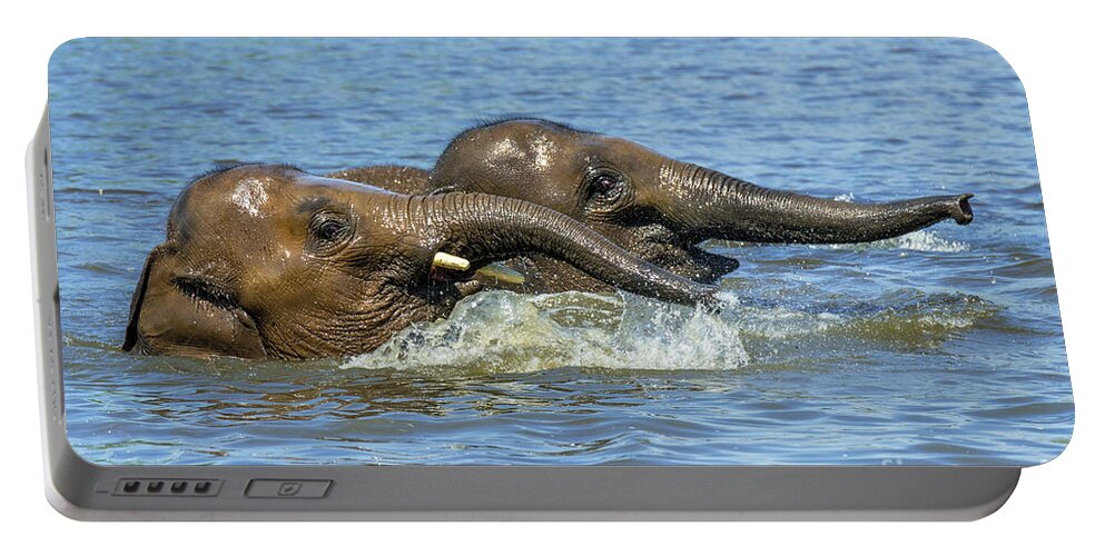 Asian Elephant Portable Battery Charger featuring the photograph Two Elephants Playing in Water by Arterra Picture Library